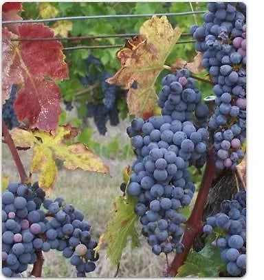 Frühstückspension Domaine La Ferme Du Mege